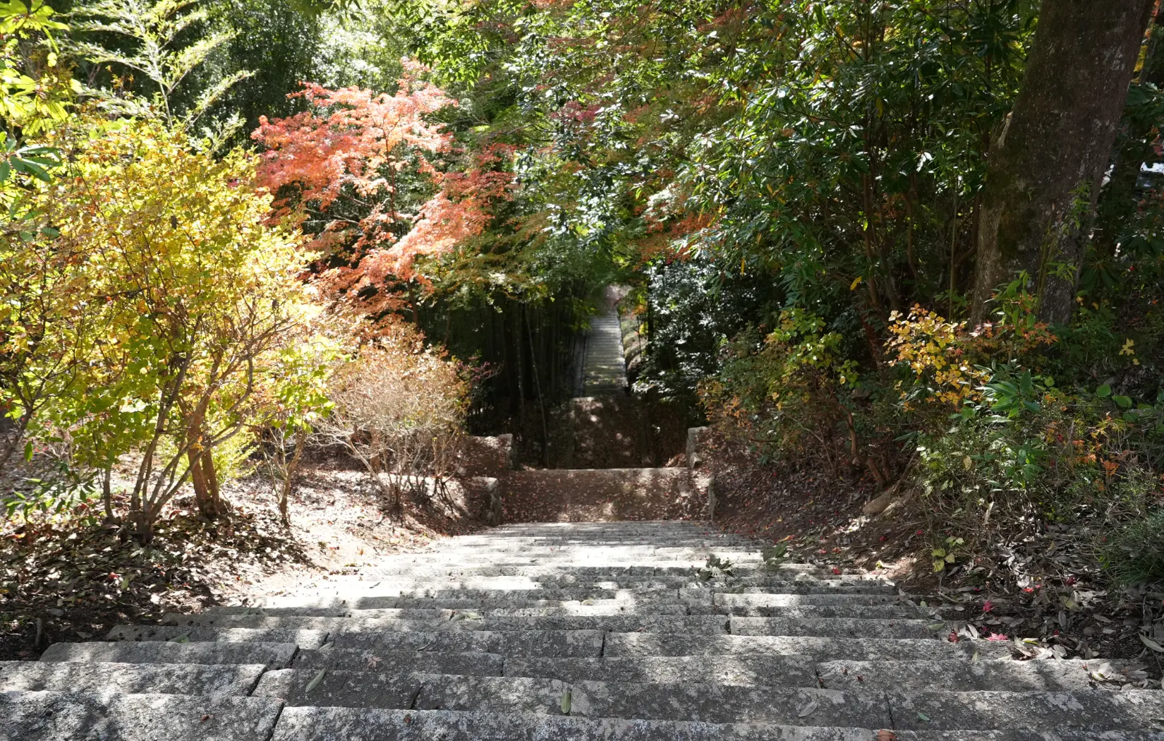 ②表参道２５３段の石階段