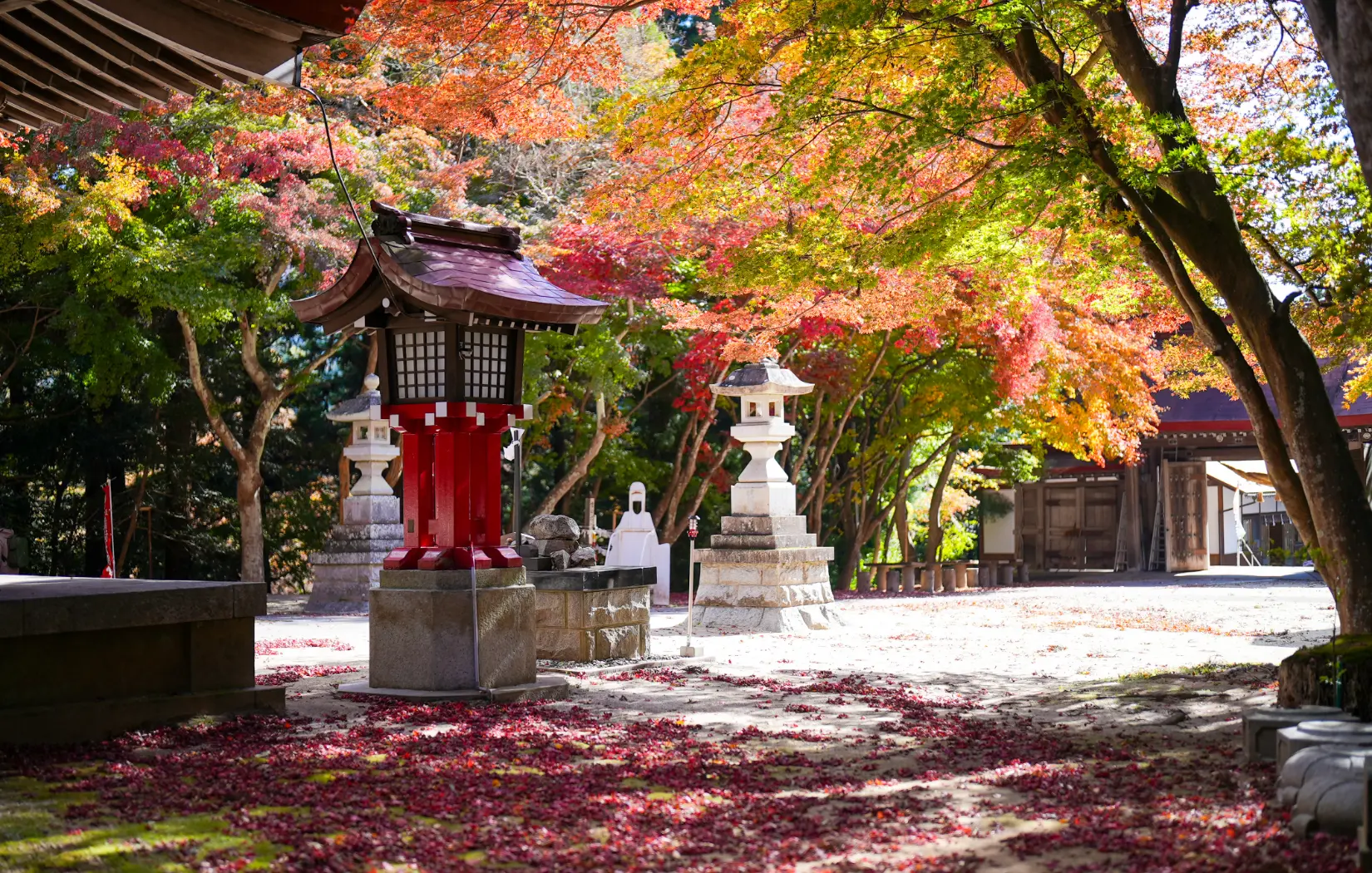 ⑧参道脇五色の紅葉